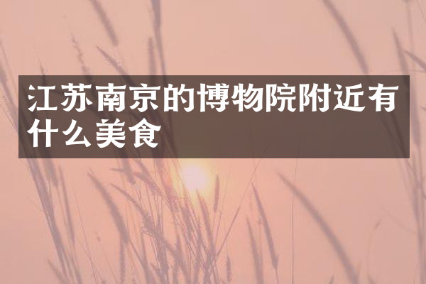 江苏南京的博物院附近有什么美食