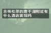 吉林松原的查干湖附近有什么酒店旅馆吗