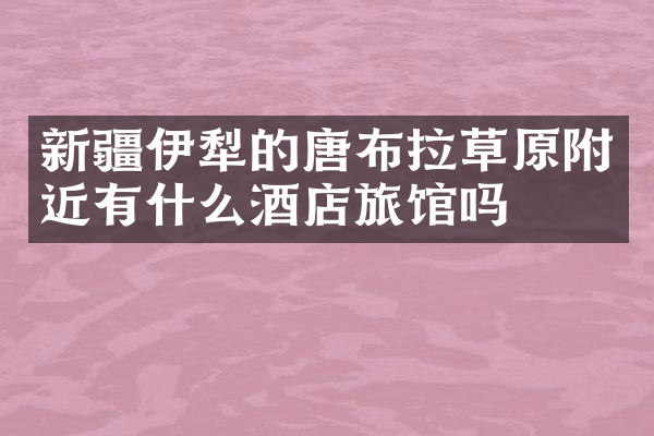 新疆伊犁的唐布拉草原附近有什么酒店旅馆吗