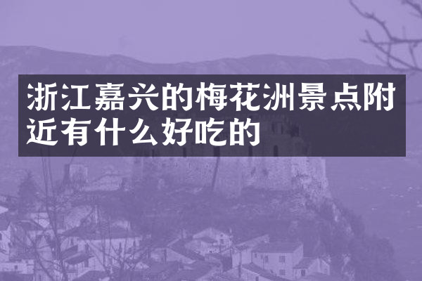 浙江嘉兴的梅花洲景点附近有什么好吃的