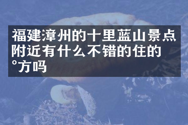 福建漳州的十里蓝山景点附近有什么不错的住的地方吗