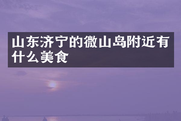 山东济宁的微山岛附近有什么美食
