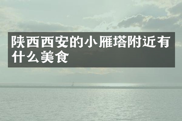 陕西西安的小雁塔附近有什么美食