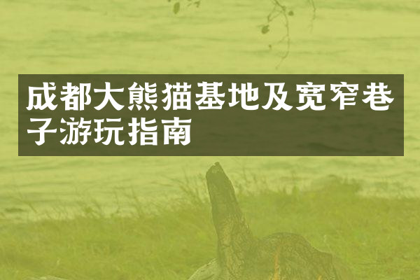 成都大熊猫基地及宽窄巷子游玩指南