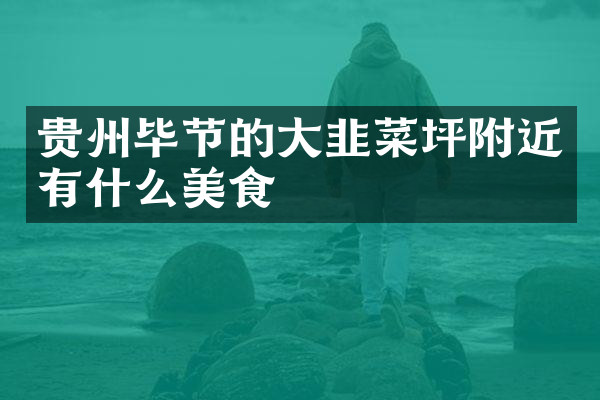 贵州毕节的大韭菜坪附近有什么美食