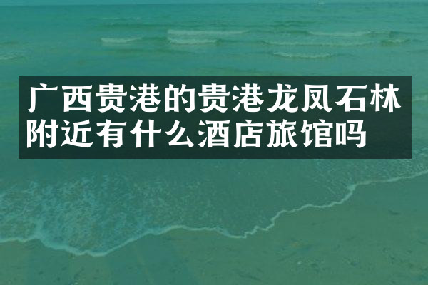 广西贵港的贵港龙凤石林附近有什么酒店旅馆吗