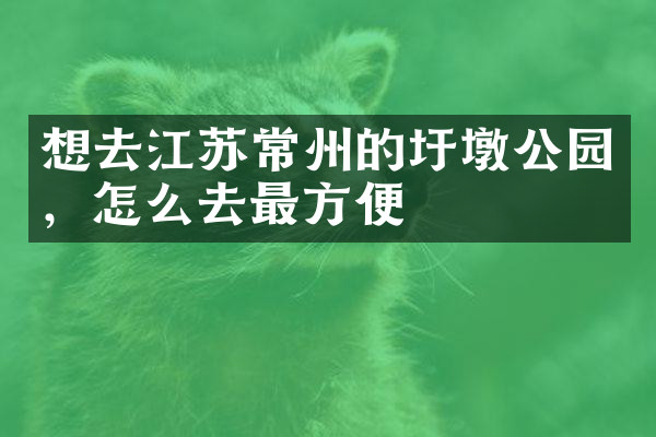 想去江苏常州的圩墩公园，怎么去最方便