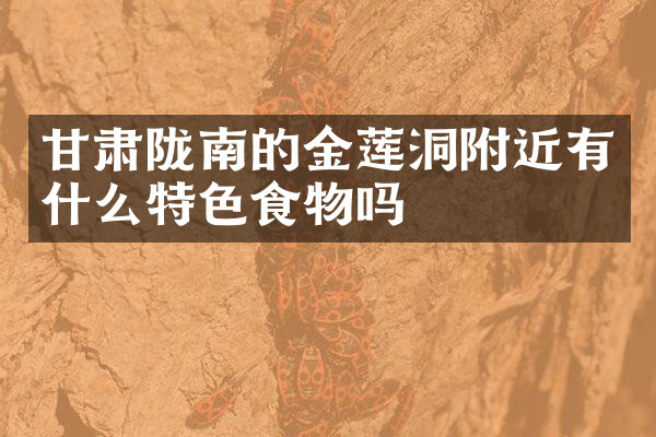 甘肃陇南的金莲洞附近有什么特色食物吗