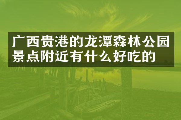 广西贵港的龙潭森林公园景点附近有什么好吃的