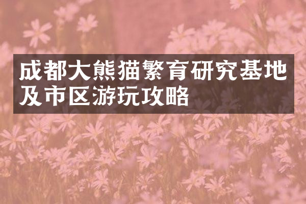 成都大熊猫繁育研究基地及市区游玩攻略