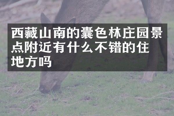 西藏山南的囊色林庄园景点附近有什么不错的住的地方吗