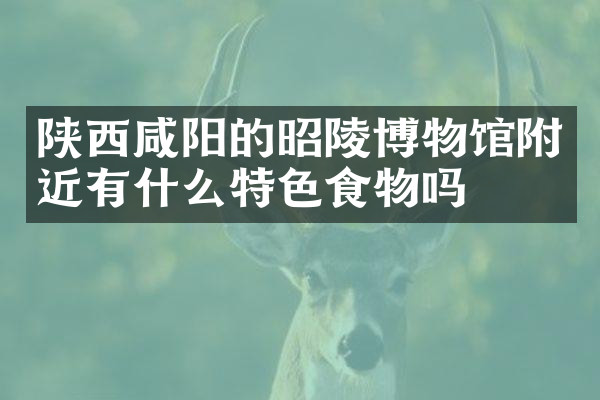 陕西咸阳的昭陵博物馆附近有什么特色食物吗