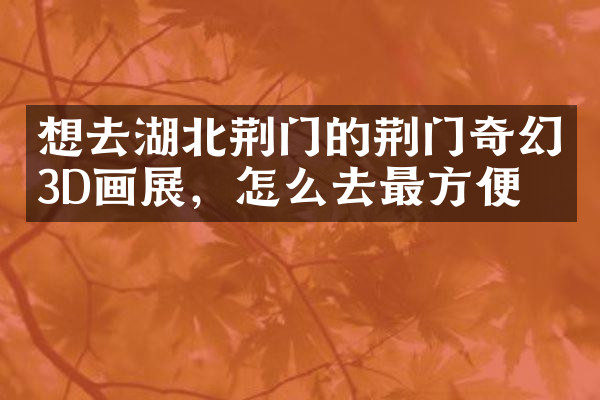 想去湖北荆门的荆门奇幻3D画展，怎么去最方便