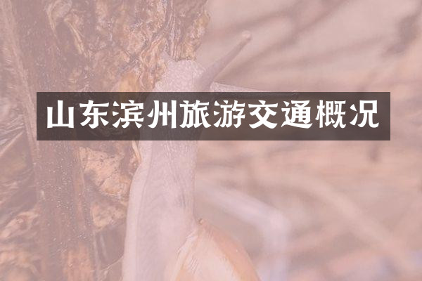 山东滨州旅游交通概况