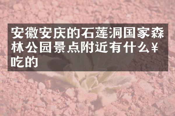 安徽安庆的石莲洞国家森林公园景点附近有什么好吃的