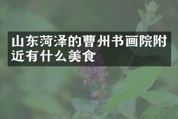 山东菏泽的曹州书画院附近有什么美食