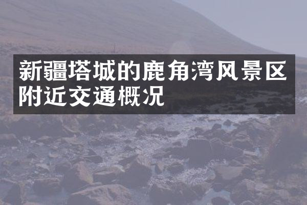 新疆塔城的鹿角湾风景区附近交通概况