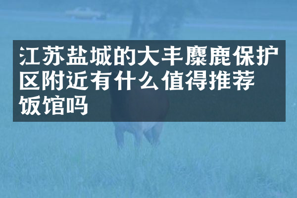 江苏盐城的大丰麋鹿保护区附近有什么值得推荐的饭馆吗