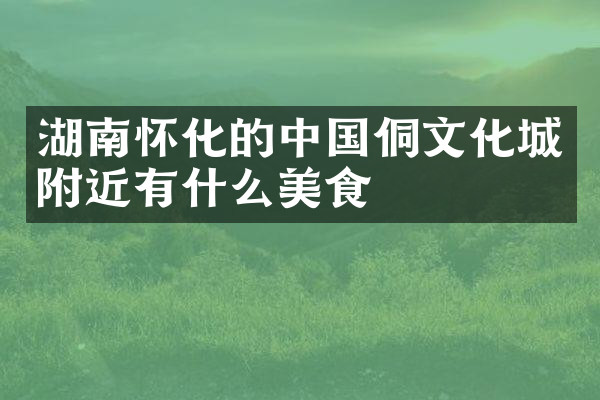 湖南怀化的中国侗文化城附近有什么美食