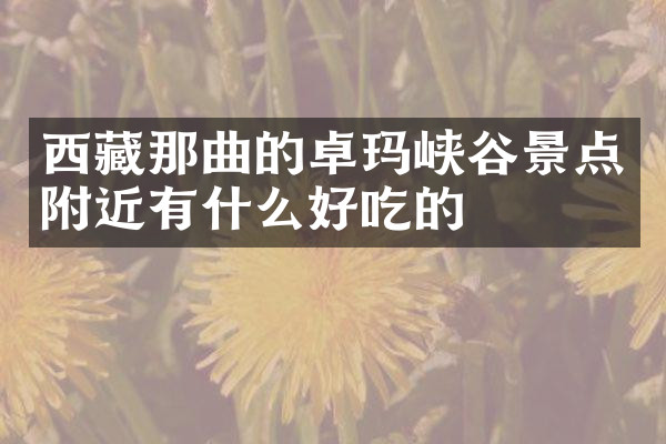 西藏那曲的卓玛峡谷景点附近有什么好吃的