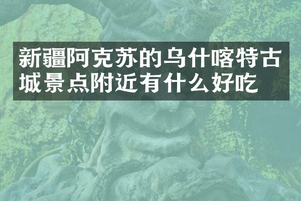 新疆阿克苏的乌什喀特古城景点附近有什么好吃的