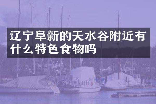 辽宁阜新的天水谷附近有什么特色食物吗
