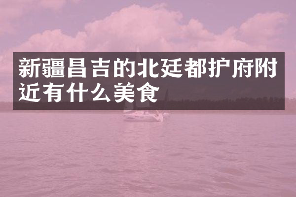 新疆昌吉的北廷都护府附近有什么美食