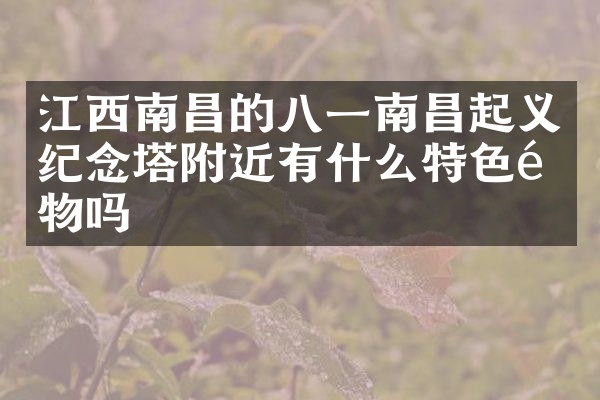 江西南昌的八一南昌起义纪念塔附近有什么特色食物吗