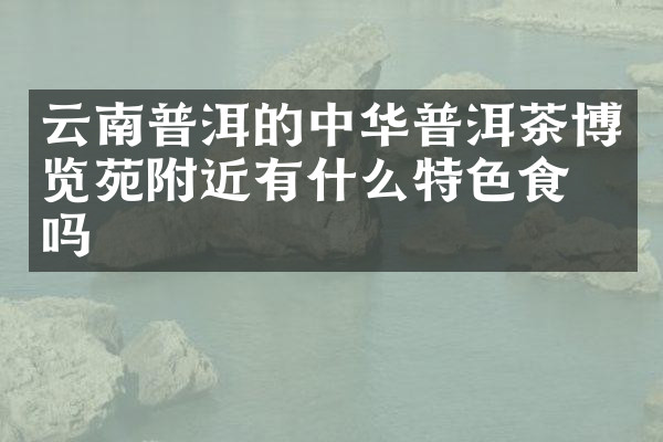 云南普洱的中华普洱茶博览苑附近有什么特色食物吗