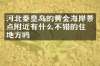 河北秦皇岛的黄金海岸景点附近有什么不错的住的地方吗
