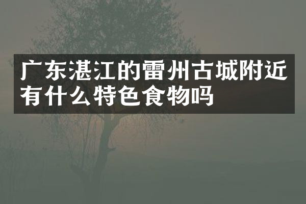 广东湛江的雷州古城附近有什么特色食物吗
