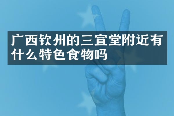 广西钦州的三宣堂附近有什么特色食物吗