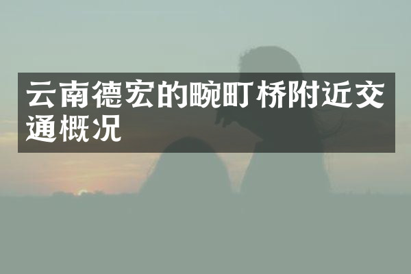 云南德宏的畹町桥附近交通概况