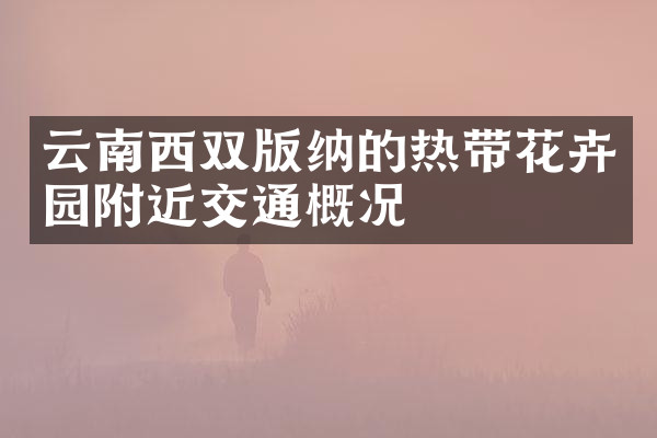 云南西双版纳的热带花卉园附近交通概况
