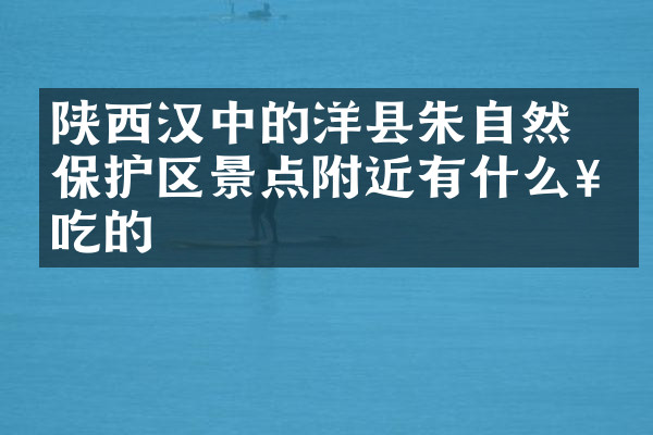 陕西汉中的洋县朱鹮自然保护区景点附近有什么好吃的