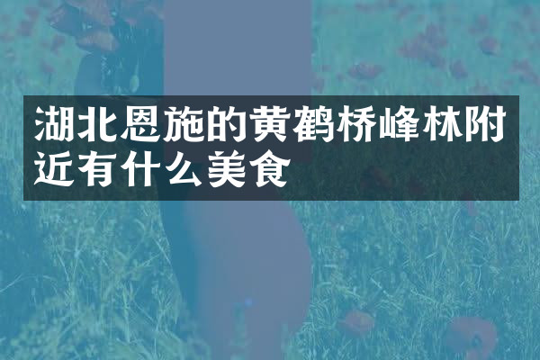 湖北恩施的黄鹤桥峰林附近有什么美食