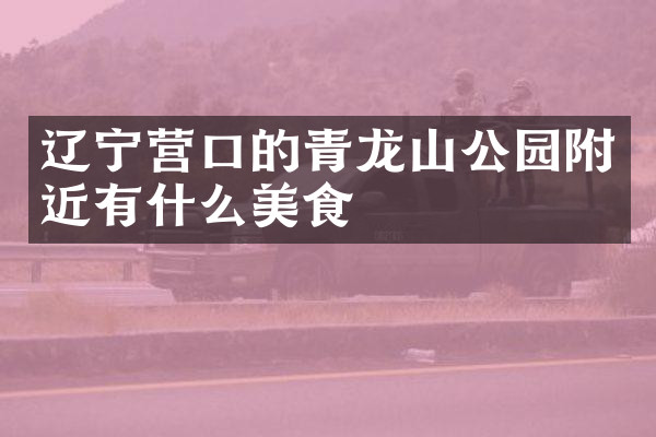 辽宁营口的青龙山公园附近有什么美食
