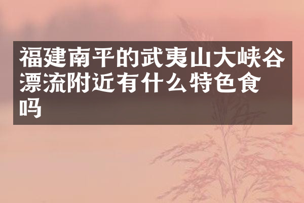 福建南平的武夷山大峡谷漂流附近有什么特色食物吗
