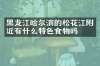 黑龙江哈尔滨的松花江附近有什么特色食物吗
