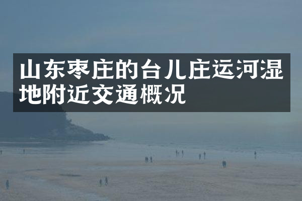 山东枣庄的台儿庄运河湿地附近交通概况