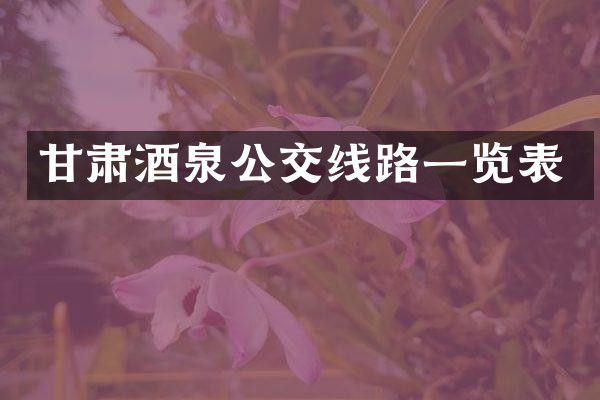 甘肃酒泉公交线路一览表