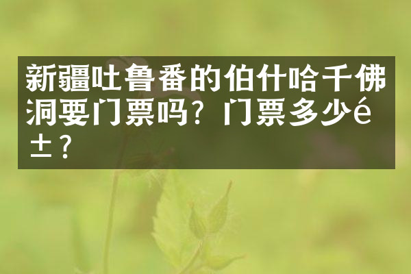 新疆吐鲁番的伯什哈千佛洞要门票吗？门票多少钱？