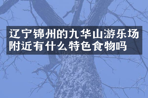 辽宁锦州的九华山游乐场附近有什么特色食物吗