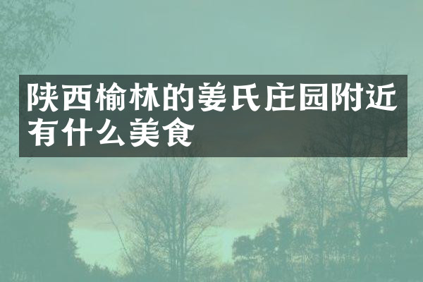 陕西榆林的姜氏庄园附近有什么美食