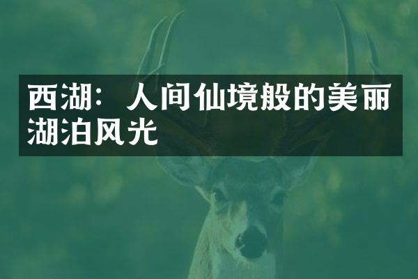 西湖：人间仙境般的美丽湖泊风光