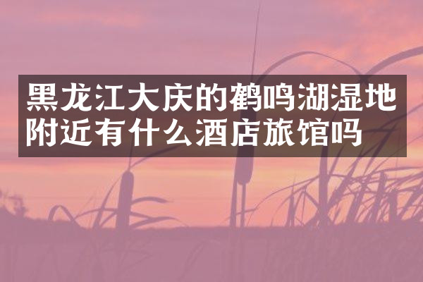 黑龙江大庆的鹤鸣湖湿地附近有什么酒店旅馆吗