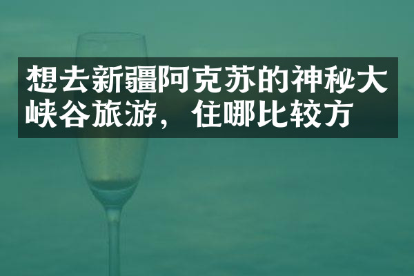 想去新疆阿克苏的神秘大峡谷旅游，住哪比较方便