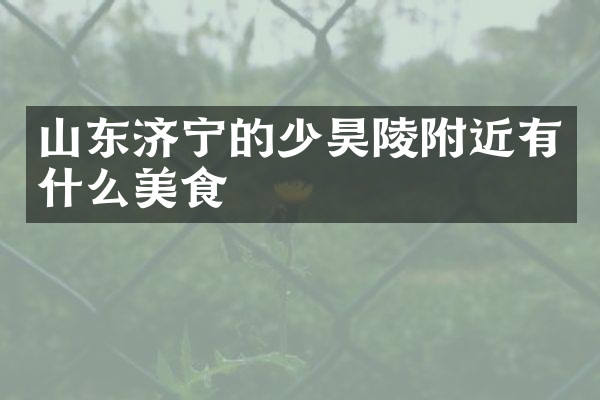 山东济宁的少昊陵附近有什么美食