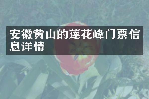 安徽黄山的莲花峰门票信息详情