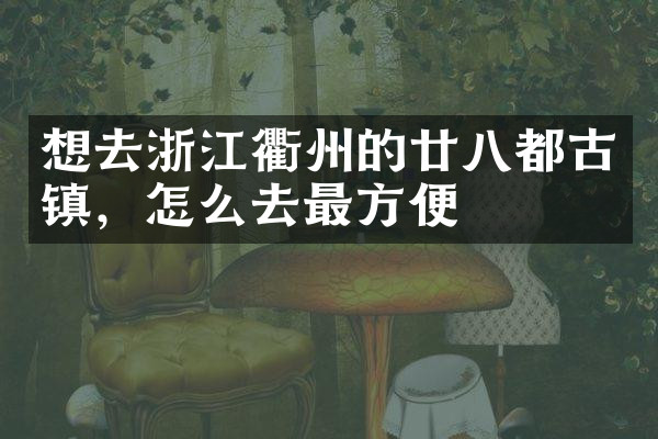 想去浙江衢州的廿八都古镇，怎么去最方便
